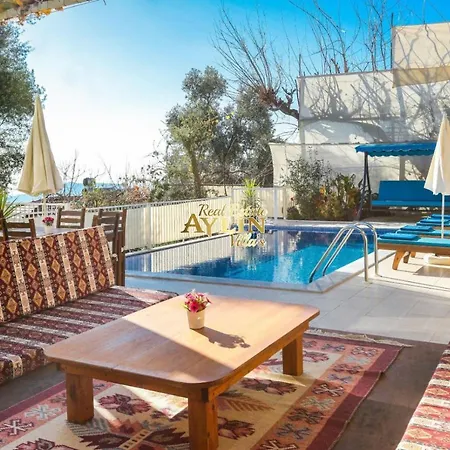 Wood With Pool And Jacuzzi In Nature