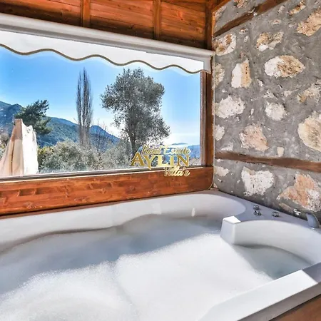 Vilă Wood With Pool And Jacuzzi In Nature