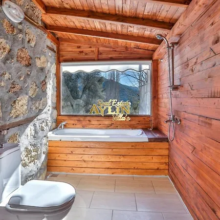 Wood With Pool And Jacuzzi In Nature Villa *