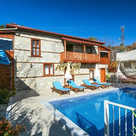 Wood With Pool And Jacuzzi In Nature Villa
