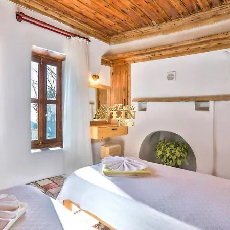 Villa Wood With Pool And Jacuzzi In Nature Islamlar (Mediterranean)